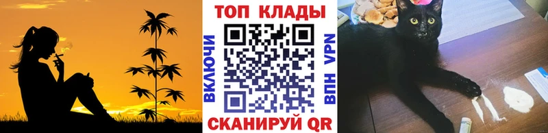 Где купить наркоту Чудово Кокаин  Меф  Гашиш  kraken как зайти  Амфетамин  Марихуана  Альфа ПВП 