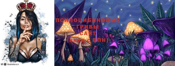 гашишное масло Снежногорск