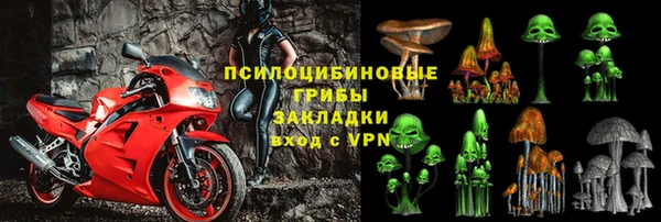 бутират Белокуриха