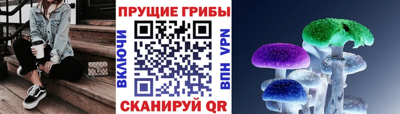 Галлюциногенные грибы мицелий  Чудово 